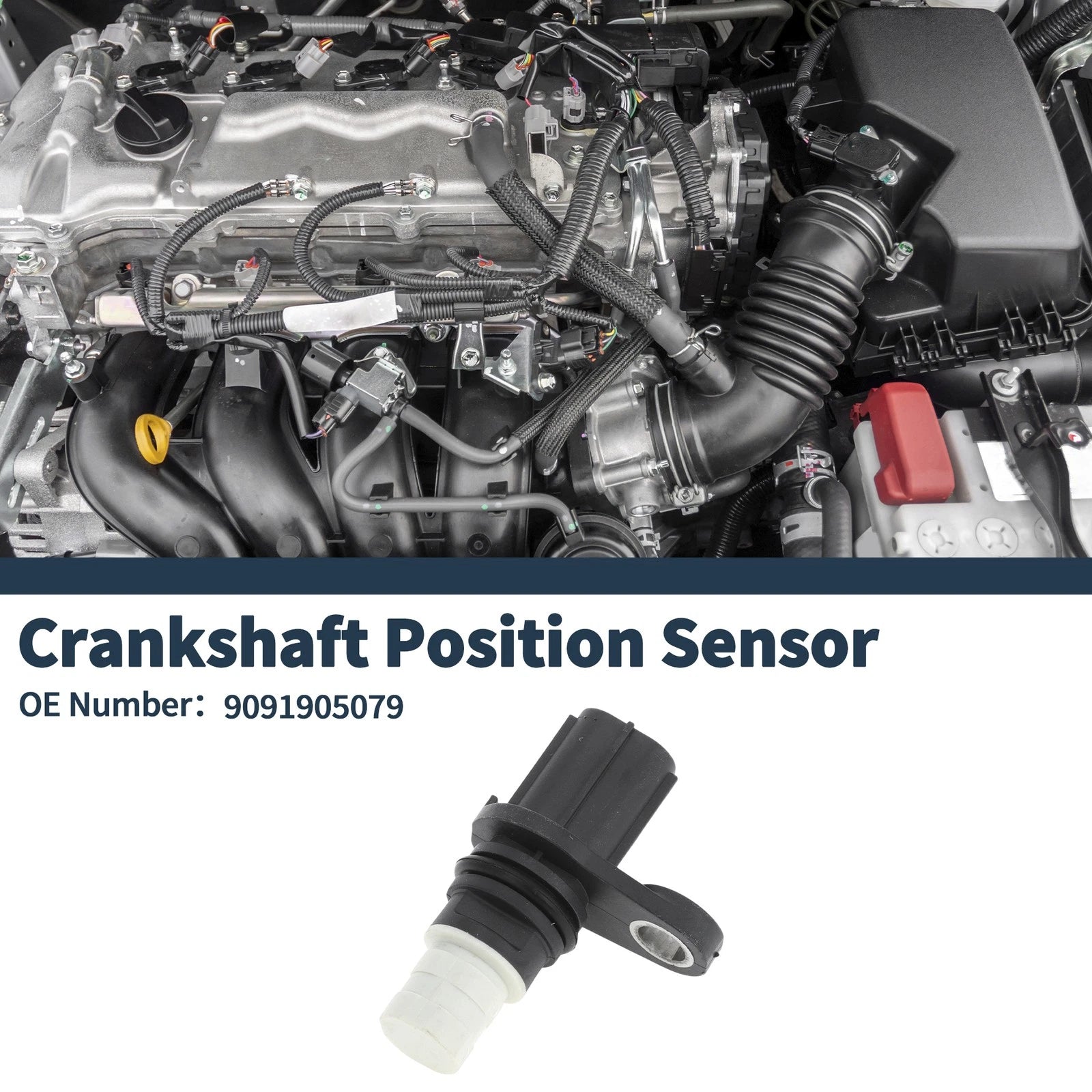 Crankshaft Position Sensor for Toyota Vitz F (2000–2005) No. 9091905079