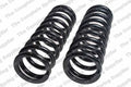 Heavy Duty Front Coil Spring Kit for Buick (4112160)
