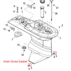 Drain Plug Seal & Gaskets for Mercury 4 Stroke 30-60 HP EFI (2000–2023) 8M0007119