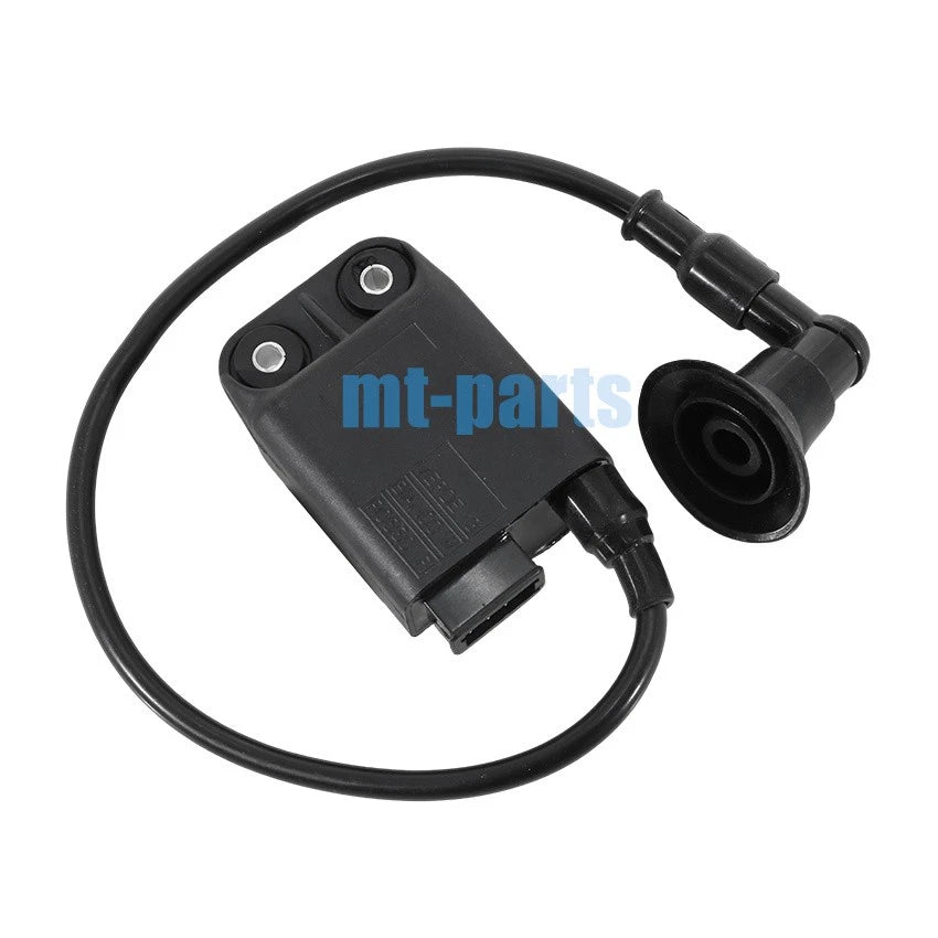 Electronic Ignition Unit for Moto Guzzi Scarabeo 50 2T (2006–2014) 58095R