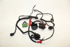 Main Wire Harness for Seadoo Spark 900 ACE (Non-IBR) (2014–2023) 278003702