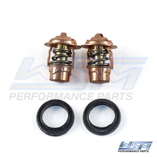 WSM Thermostat Kit for Mercury 2.0 - 3.0 Liter V6