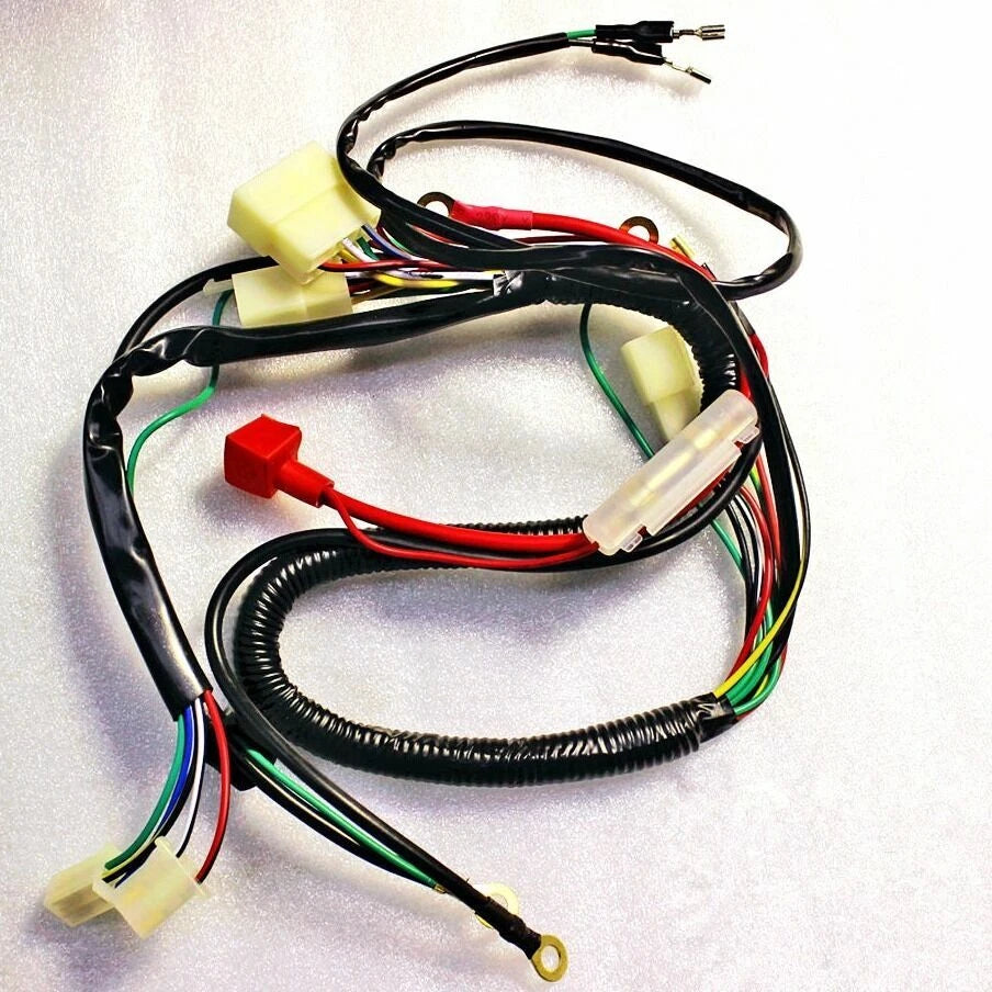 Wiring Loom Harness for Chinese 200cc 250cc Offroad Dirt Pit Trail Bike (2000–2023)