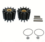 2X Neoprene 12 Blade P Impeller Kit for Sherwood (Replace 17000K)
