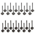 Set of 24 Intake & Exhaust Valves for Amanti Santa Fe Sedona XG350 V6