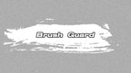 Front Bumper Brush Grille Guard Bracket for Ford Crown Victoria (2003–2011)