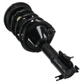 2X Front Left + Right Strut Spring for Nissan Maxima Infiniti I30 (2000–2001)