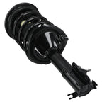 2X Front Left + Right Strut Spring for Nissan Maxima Infiniti I30 (2000–2001)