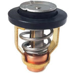 Thermostat for Yamaha 20 25 HP F20F F20G F25G Outboard Motor (6FM-12411-00)