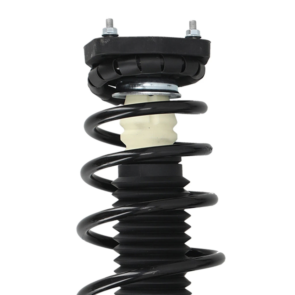 2X Rear Strut Spring for Hyundai Elantra (2000–2006)