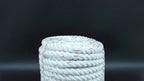 Set of 2 Braided Rope 1 Inch x 120FT 3400 lbs Breaking Strength