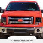 Lower Bumper Grille Insert for Ford F-150 (2009-2014) Black Mesh Stainless Steel