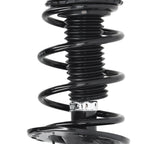 Complete Strut Coil Spring for Toyota RAV4 (2013-2018)