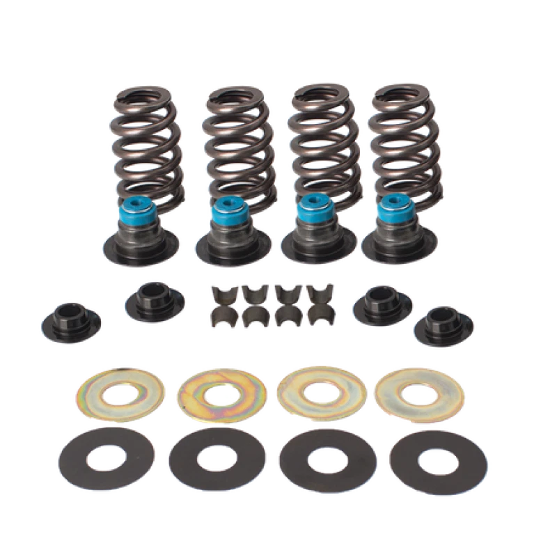 Valve Spring Kit for Harley-Davidson BT (2005–2017) - .585in