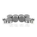 Piston Set for DNJ P3170 (2010–2020)