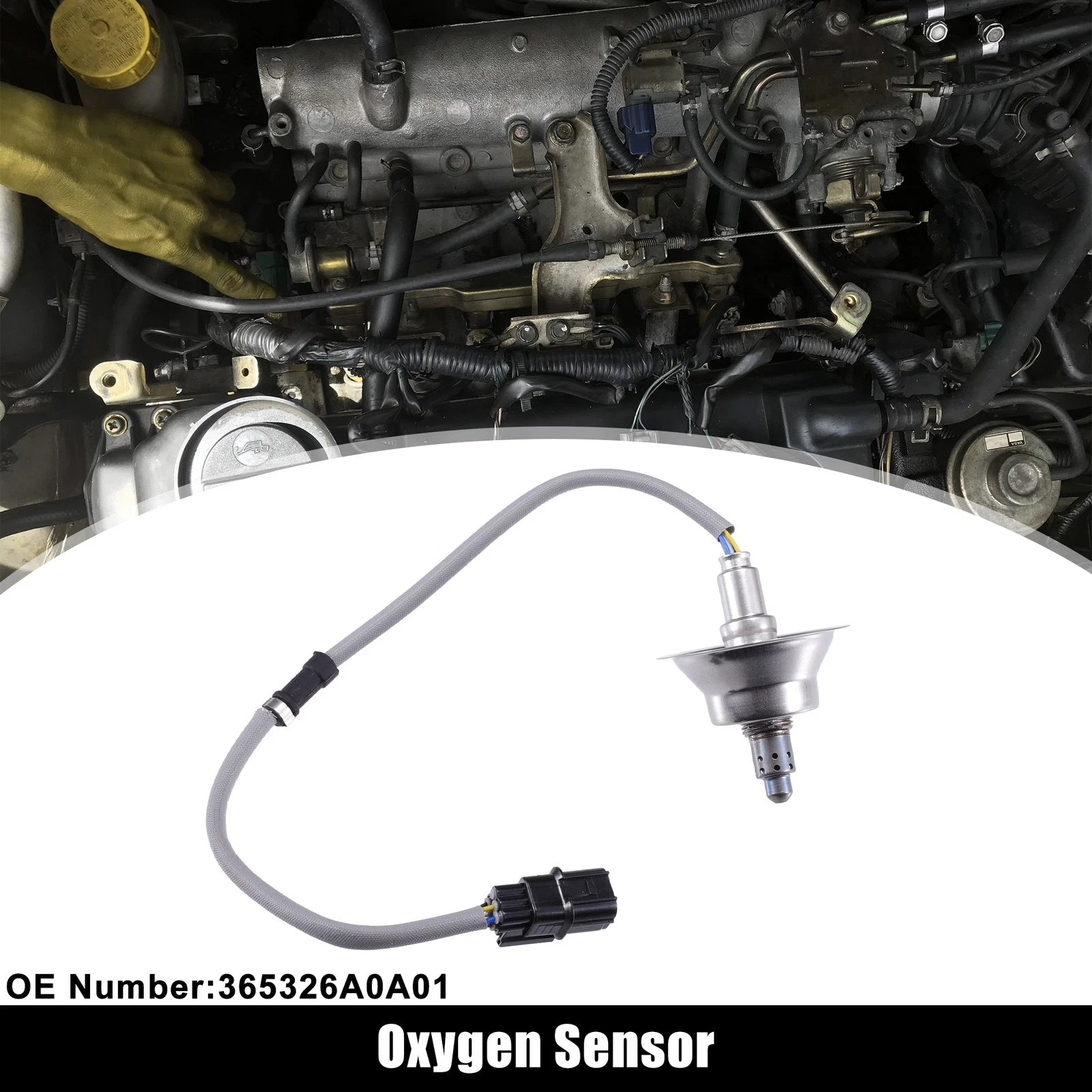Oxygen Sensor for Honda Accord (2018–2020) No.365316A0A01