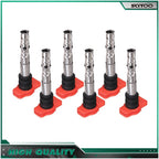 Set of 6 Ignition Coils for Audi A4 A6 (2002–2006) 3.0L
