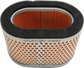 HIFLOFILTRO Air Filter for Triumph (HFA6503)