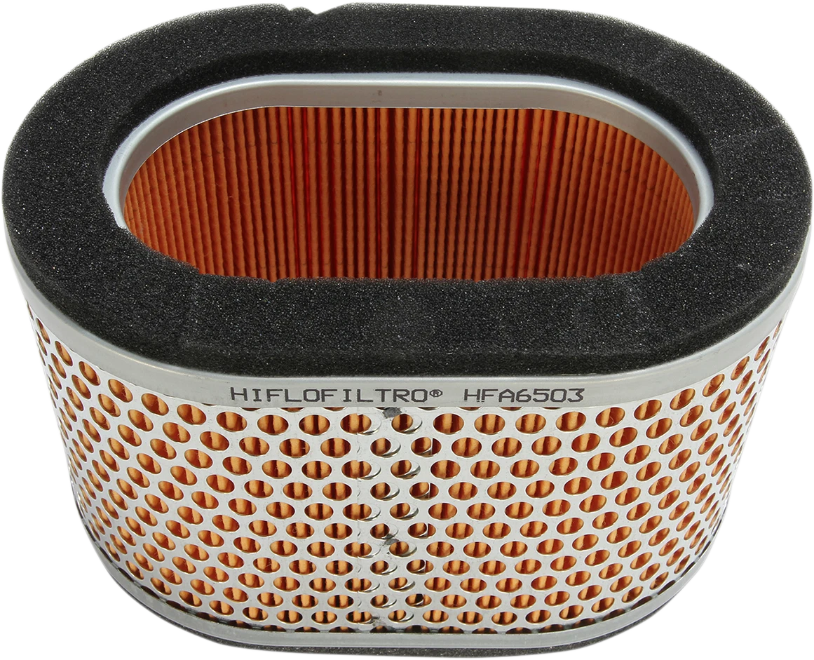 HIFLOFILTRO Air Filter for Triumph (HFA6503)