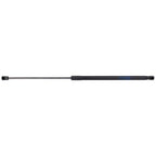 Set of 2 Hood Lift Supports for Acura TLX
