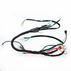 Wiring Harness Loom for 125cc Pit Trail Dirt Bike (Reg Engine)