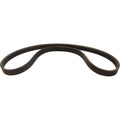 Auxiliary Pump Drive Belt for Case IH Combine (AM124573A1, 124573A1)