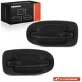 2X Rear Exterior Door Handle for Chevy Venture Pontiac Buick Saturn (2000–2005)