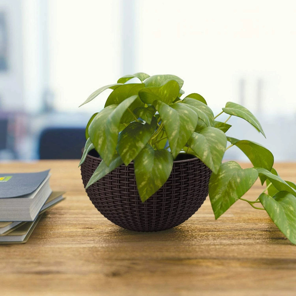 Hanging Planters for Indoor Plants with Chain (Plastic)