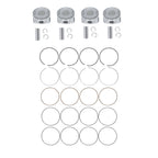 Pistons with Rings for Toyota Camry 2.4L (2007-2009)