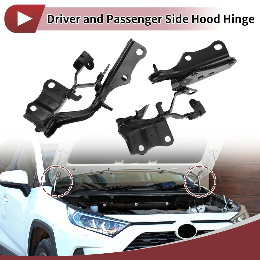 Hood Hinges for Lexus ES300h (2019–2022) 1 Pair No. 5342033380