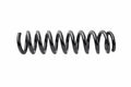 Genuine OEM Rear Coil Spring for BMW 330xi, 325xi, 328i xDrive (2006–2012) 33536767341