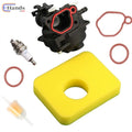 Carburetor Kit for Briggs & Stratton Mower 300E 450E (125cc) (08P502 09P602)