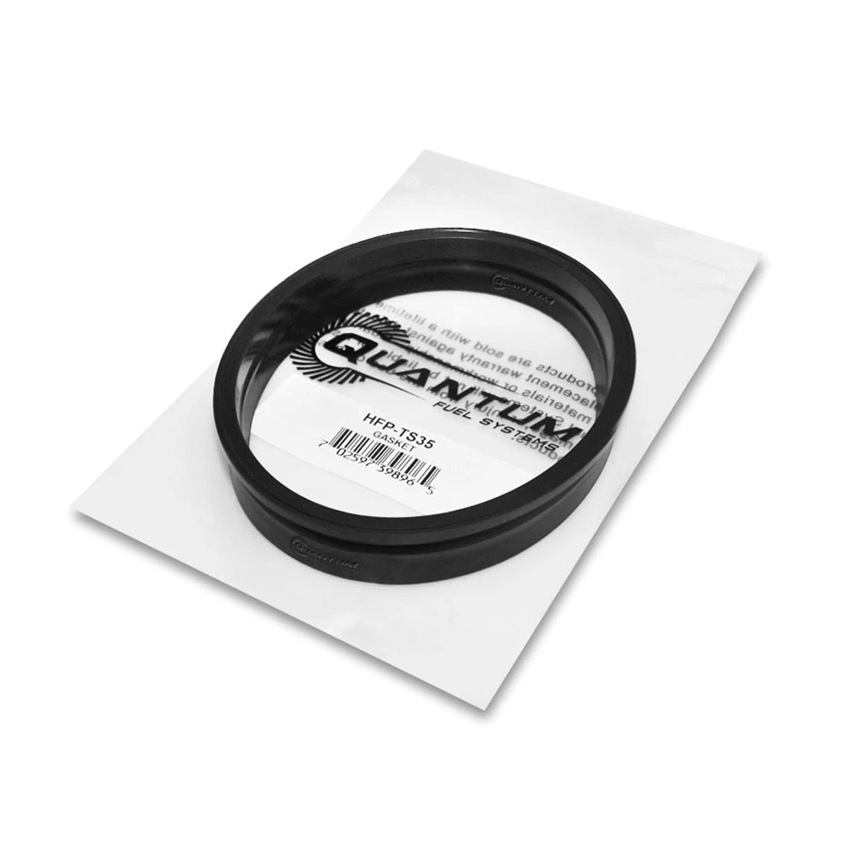 QFS EFI Fuel Pump + Tank Seal + Strainer for Sea-Doo Wake 155 (2015–2019)