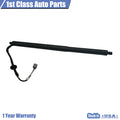 Rear Right Power Hatch Lift Support for Tesla S (2012–2015) 600661000