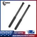 2pc Rear Complete Shocks Struts for Acura CSX Honda Civic (2006–2011)