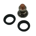 Thermostat for Johnson Evinrude 200HP BJ200 E200 J200 RJ200 RE200 (Model 5001036)