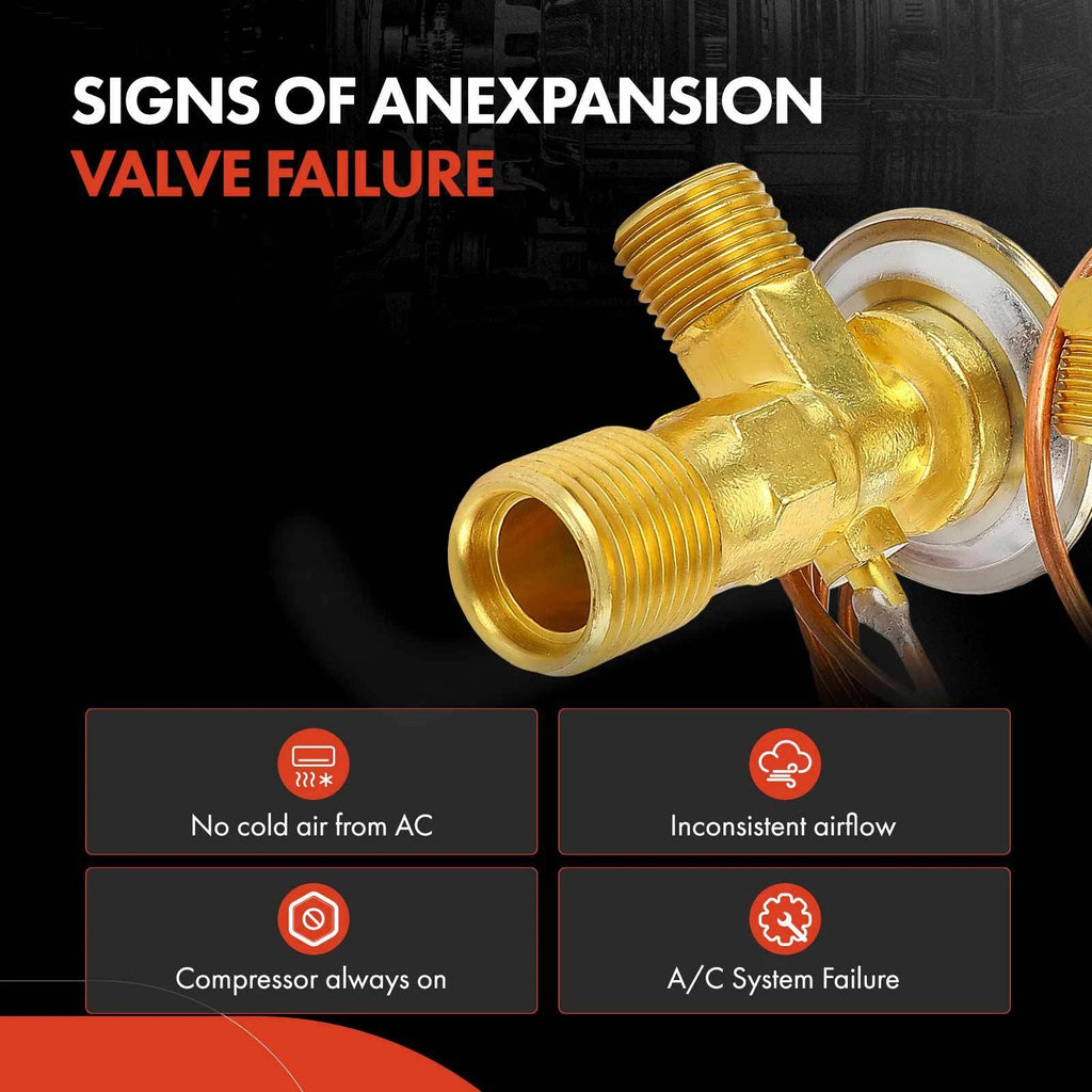 A/C Expansion Valve for Chevrolet C20 Pickup (1971–1972)