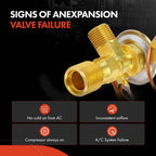A/C Expansion Valve for Chevrolet C20 Pickup (1971–1972)
