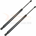 2X Liftgate Tailgate Hatch Lift Supports for Ford Escape Mercury Mariner (2001–2012)