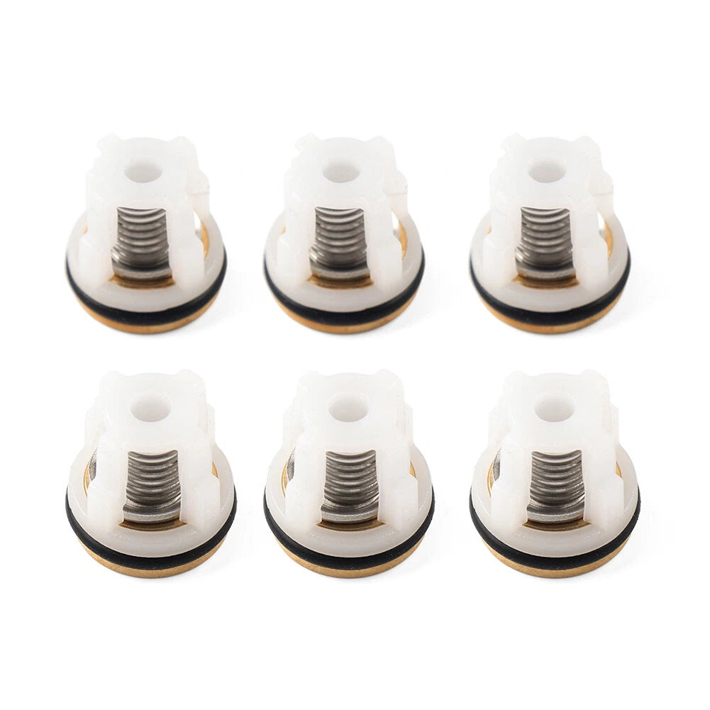Check Valve Kit 42123 for Annovi Reverberi RMW RMV SRMV