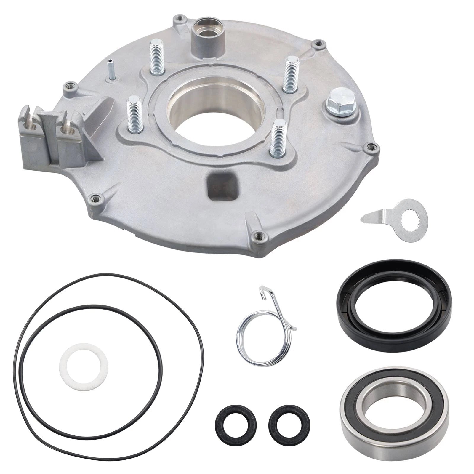 Rear Brake Backing Plate & Bearing Seals Kit for Honda Fourtrax TRX300 (1988–2000)