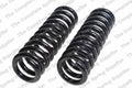 Rear Coil Spring Kit for Dodge (4421203)