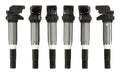 Set of 6 Ignition Coils for BMW E82 E88 E89 E90 E92 128i 325i 330xi X5 Z4