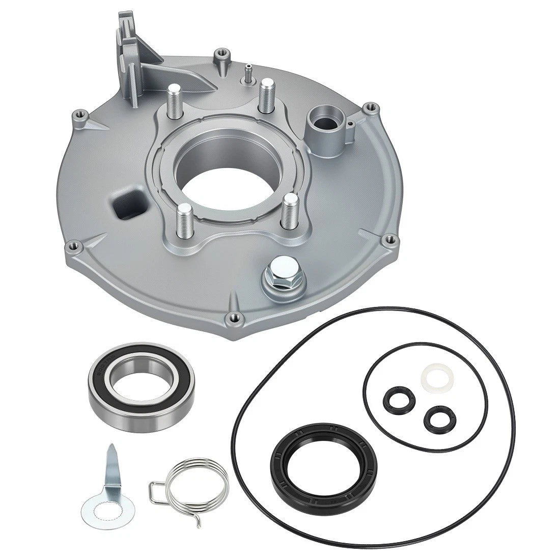 Rear Brake Backing Plate Kit for Honda FourTrax 300 TRX300/FW (1988–2000)