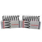 Set of 2 Lesjfors Rear Coil Springs for Ford Focus (2003–2007) Mazda 3 (2004–2009) L4 2.0L 2.3L
