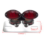 LED Tail Light for Motorcycle (Custom)