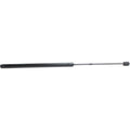 Lift Support for Chevrolet HHR (2006–2009) Driver or Passenger Side