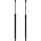 Set of 2 Liftgate Struts for Ford Escape