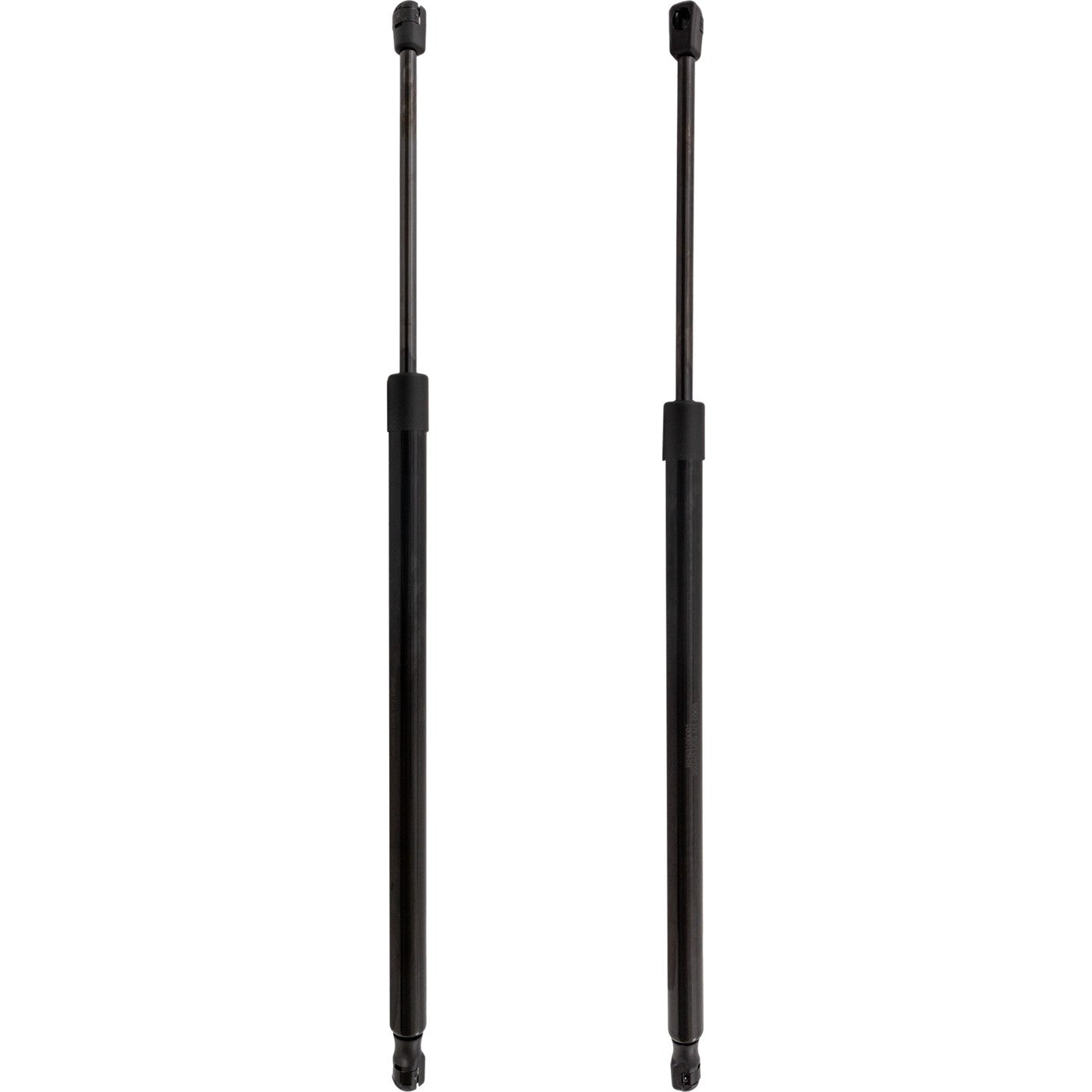 Set of 2 Liftgate Struts for Ford Escape