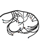 Standalone Wiring Harness for LS Swaps DBC 4.8 5.3 6.0 (1999-2006)
